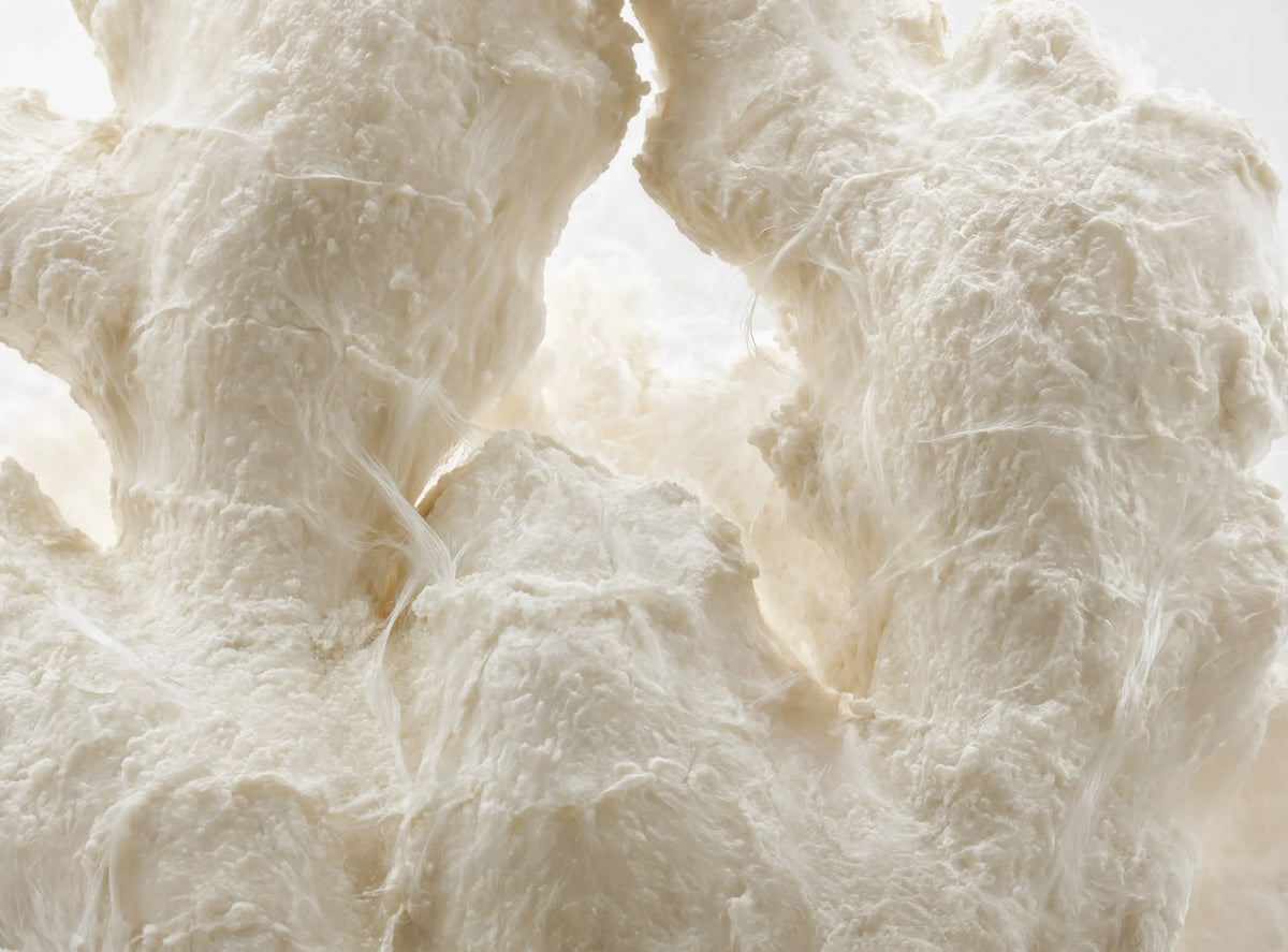 Hydrolyzed Protein