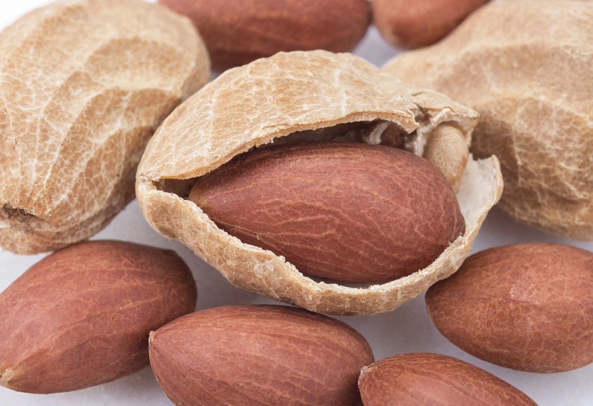 Arachis Oil