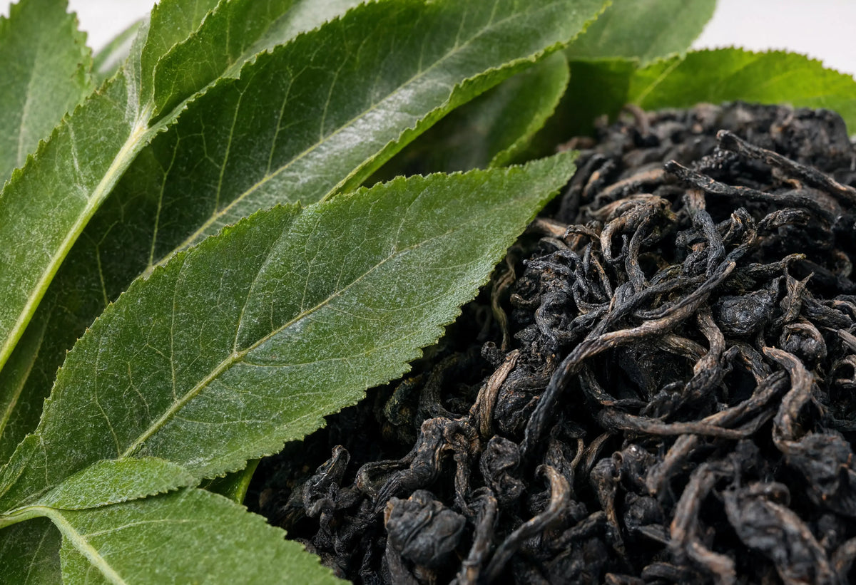 Tea Leaf