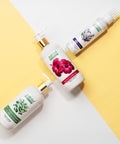 Dry & Damaged Hair Combo (Pack Of 3 Products) - Arish Bionatural