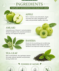 Green Apple Shampoo - Arish Bionatural
